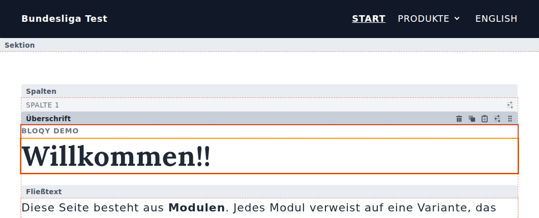 Ausgewählte Überschrift mit dunkler Leiste und rotem Rahmen, darüber die Leisten Sektion, Spalten und Spalte 1